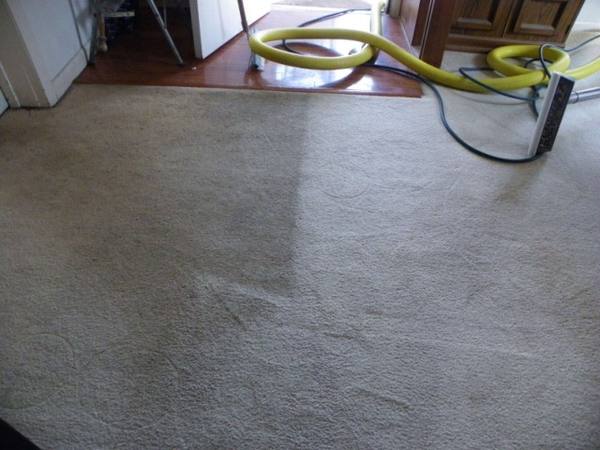 Carpet mid-clean showing the visible stripe between the dirty and the freshly cleaned side
