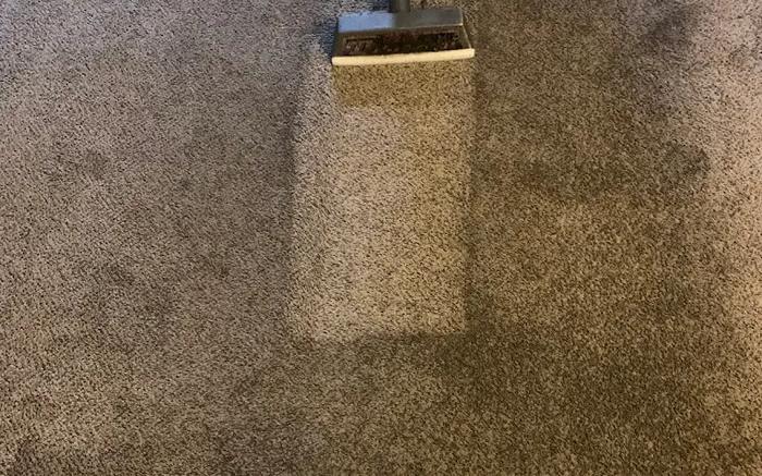 Cleaning wand in action - dramatic dirty-vs-clean contrast on a residential carpet job
