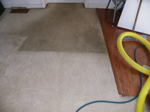 Before and after carpet cleaning by M-M Cleaning - hot water extraction removing years of ground-in dirt