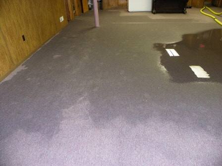 Pulling water from soaked carpet - water removal service in progress